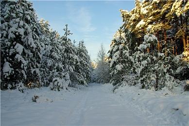 传《刺客信条：幻景》今年10月12日发售