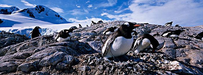 《丁丁历险记：法老的雪茄》实机预告 11月7日上线